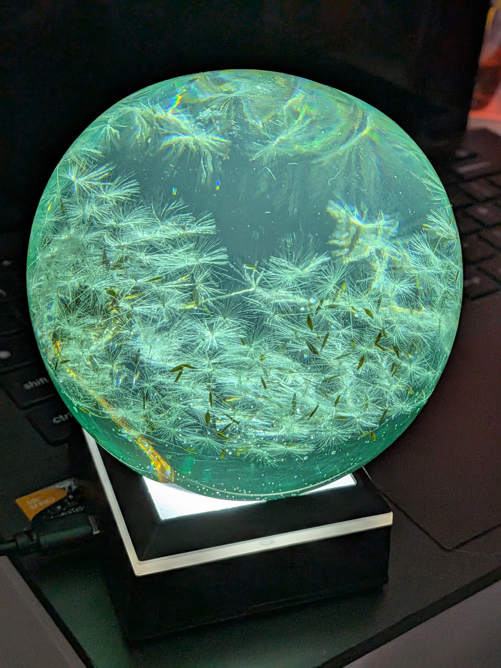 Dandelion night light