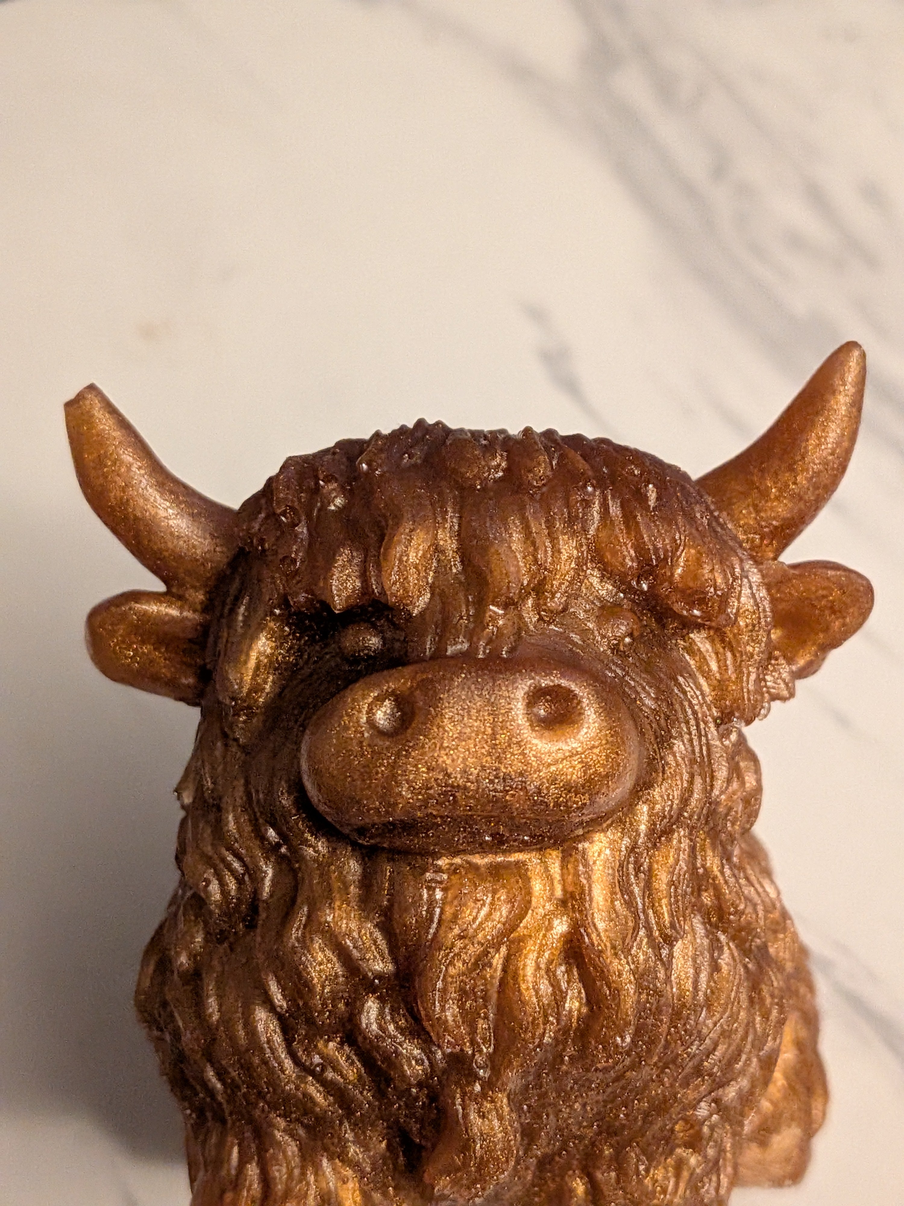 Highland cow