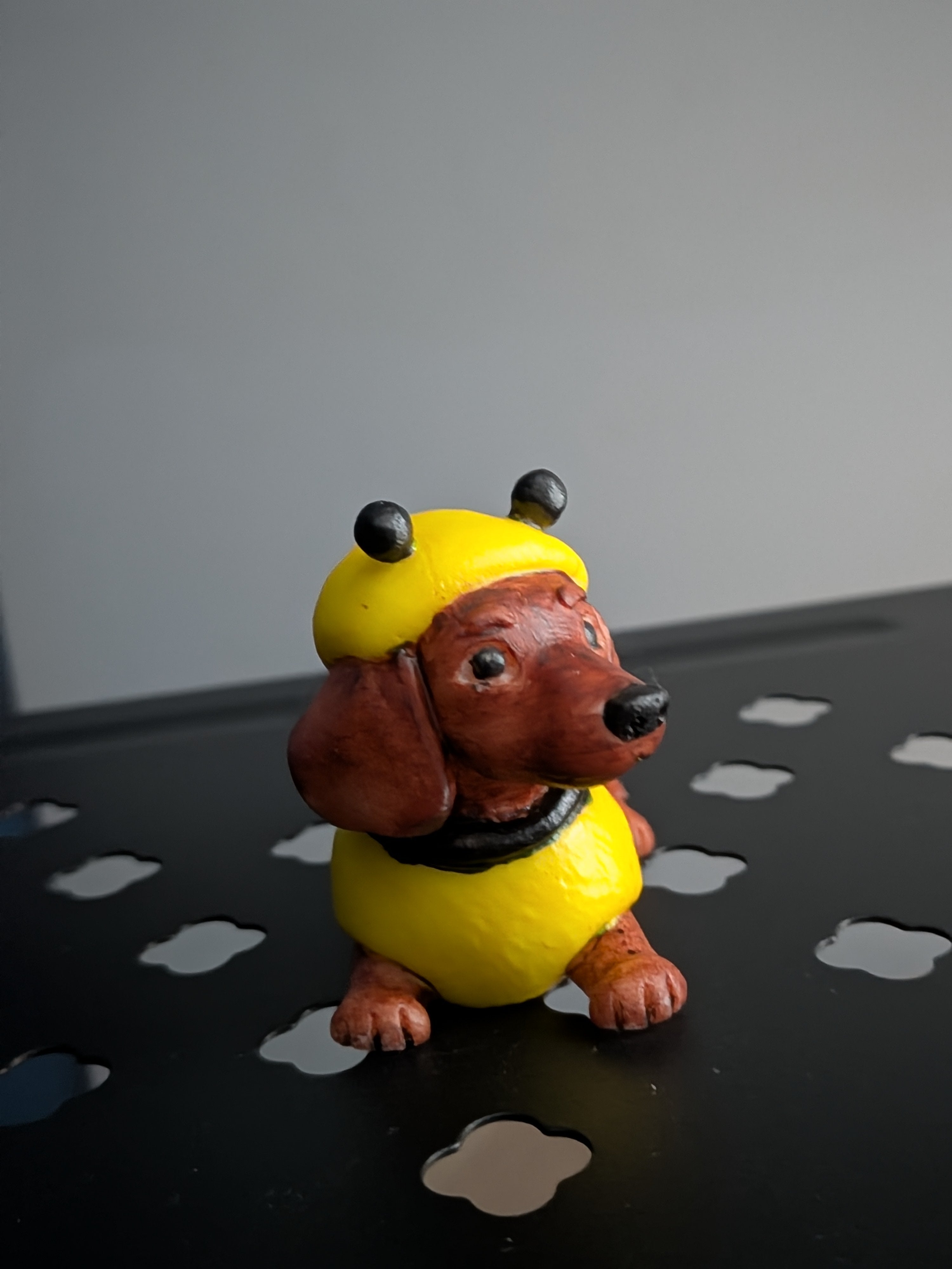 The little bumblebee Dachshund