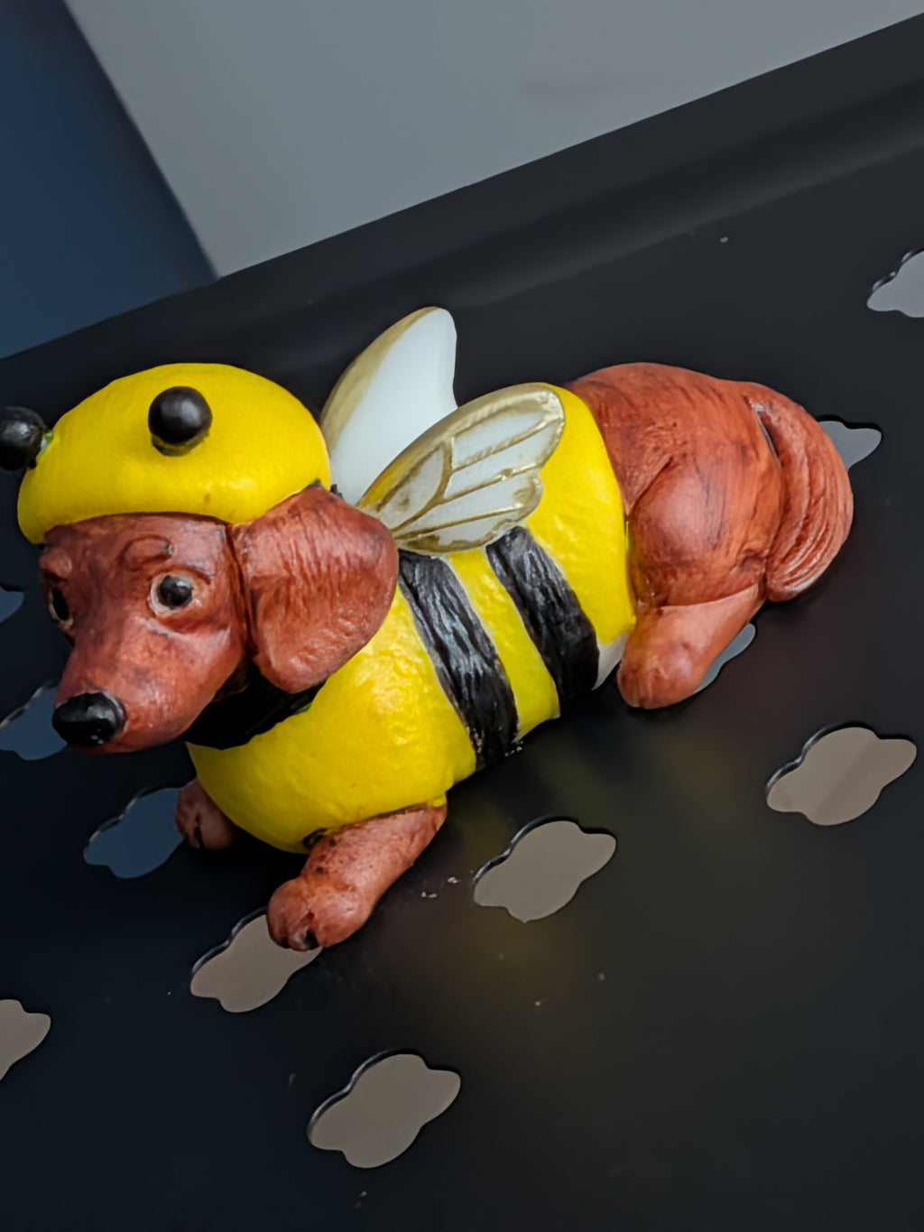 The little bumblebee Dachshund