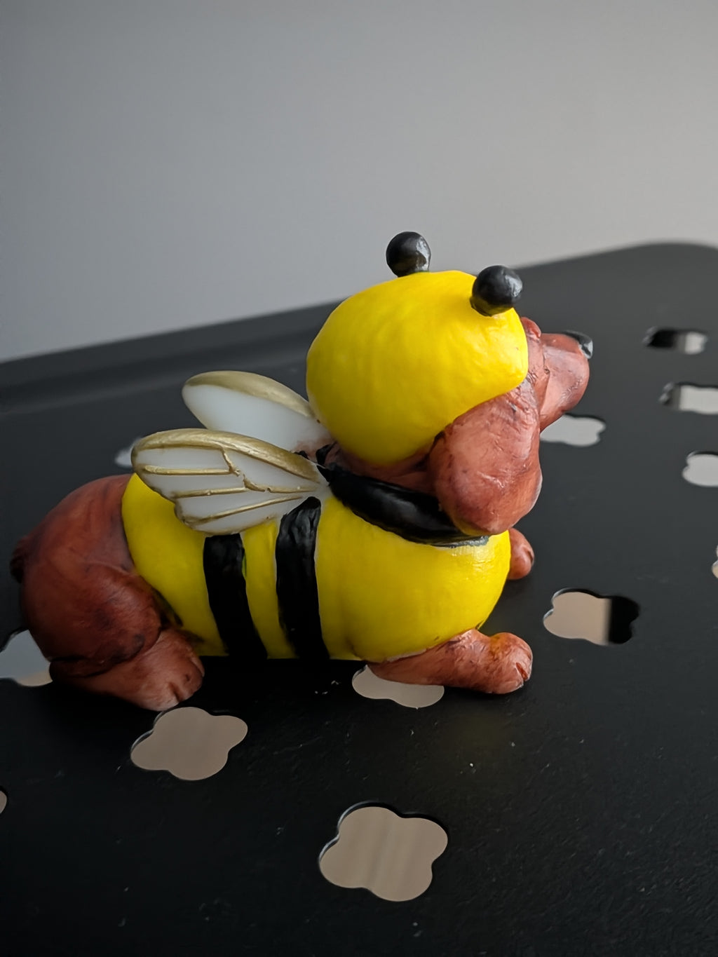 The little bumblebee Dachshund