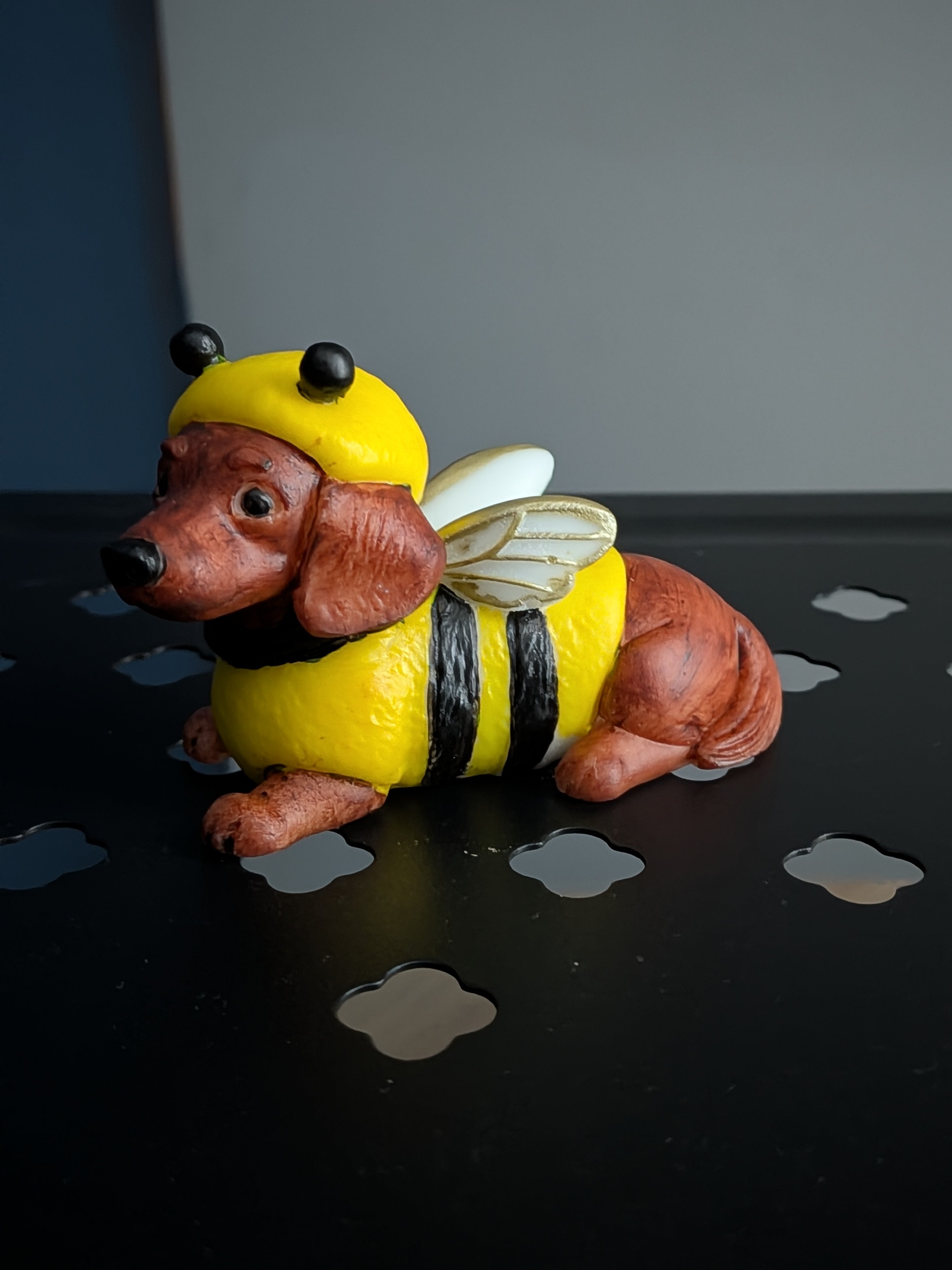 The little bumblebee Dachshund