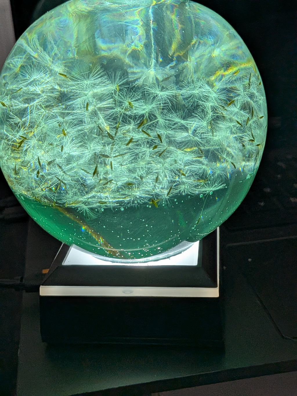 Dandelion night light