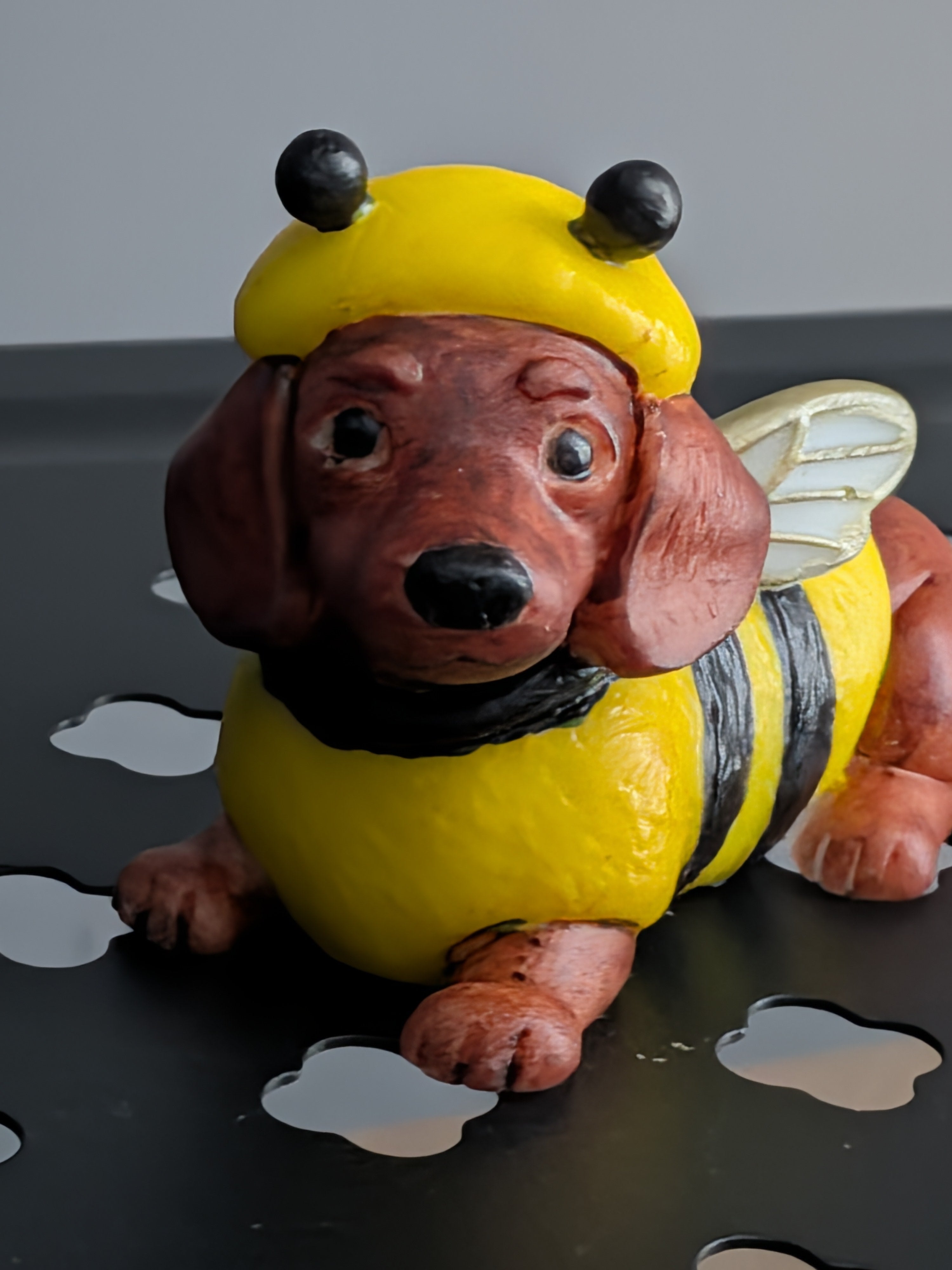 The little bumblebee Dachshund